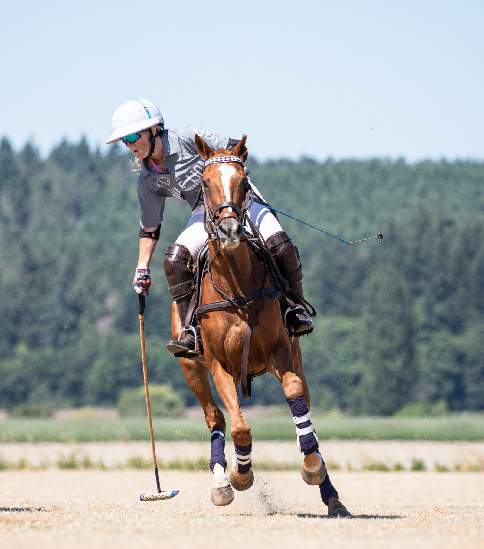 Polo player mid-swing