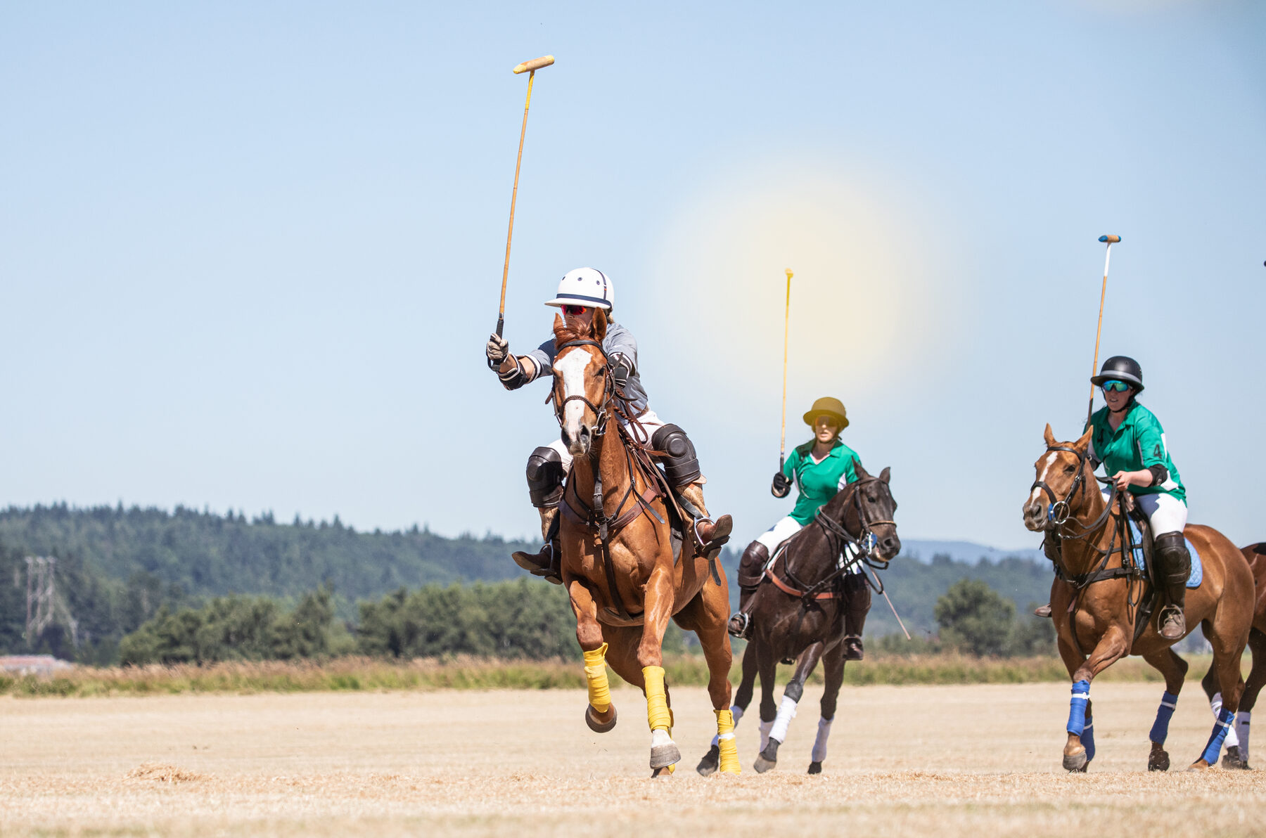 Polo spectators at a summer match